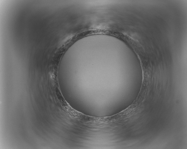 X0000067351254200604071416