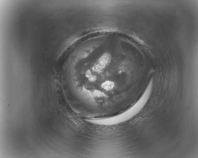 X0000067351255200604071416