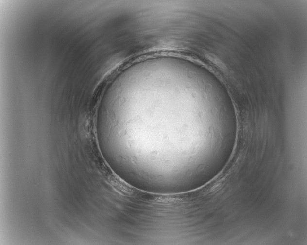 X0000067351258200604071416