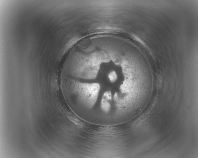 X0000067351259200604071416