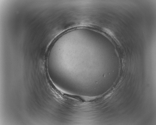 X0000067351260200604071416