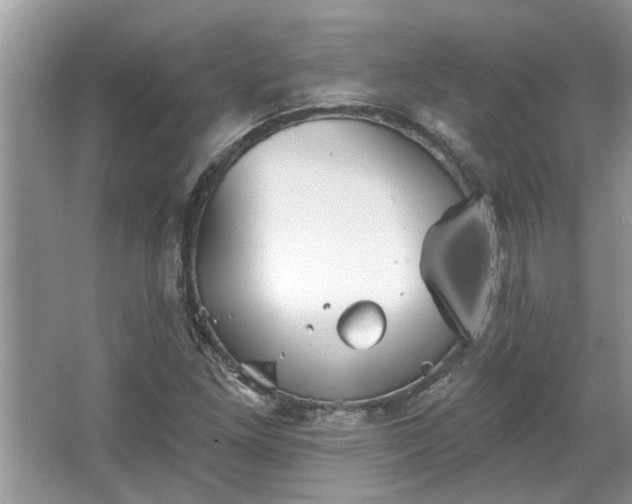 X0000067351261200604071416