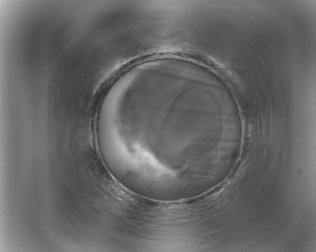 X0000067351262200604071416