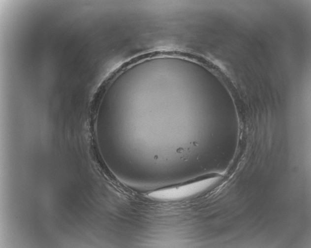 X0000067351263200604071416