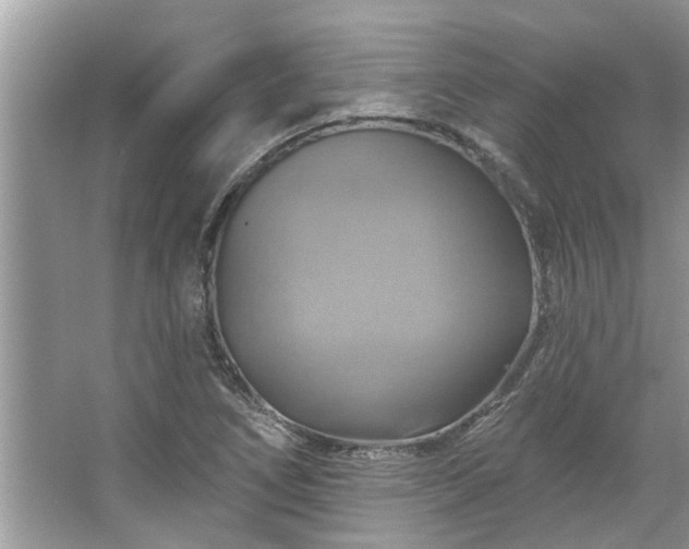 X0000067351266200604071416