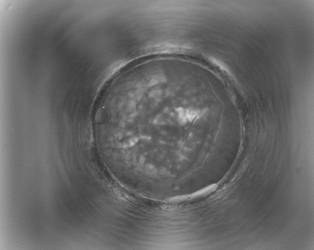 X0000067351267200604071416