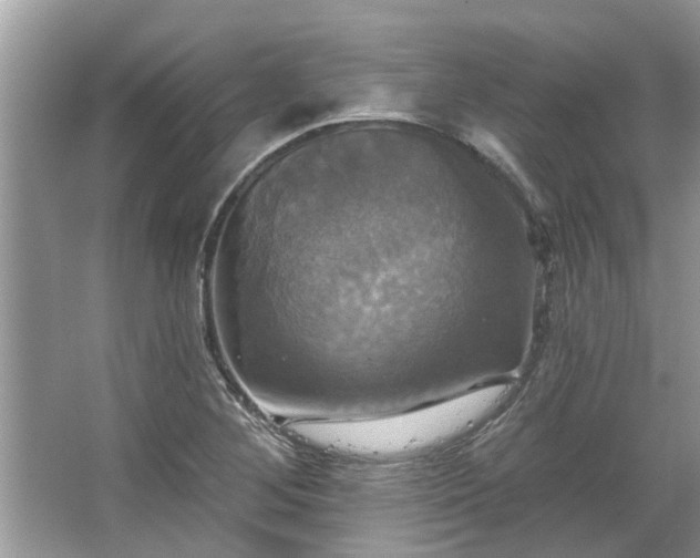 X0000067351268200604071416