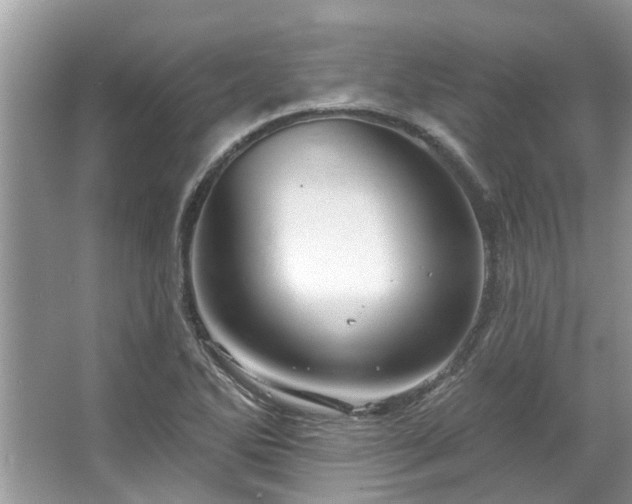 X0000067351270200604071416