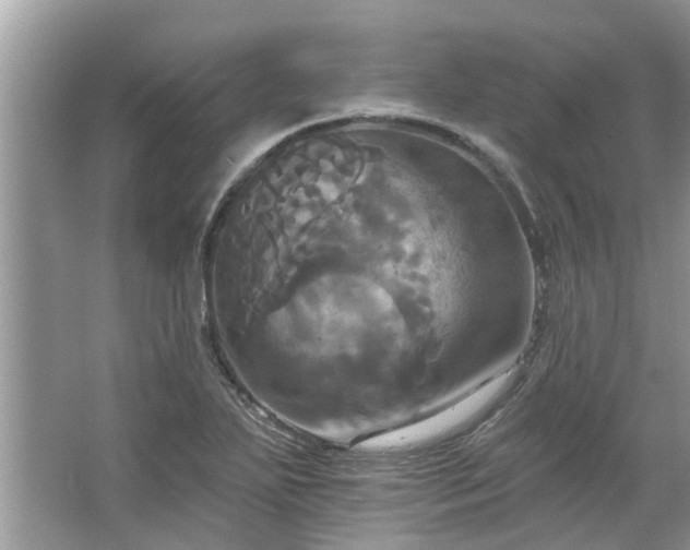 X0000067351271200604071416