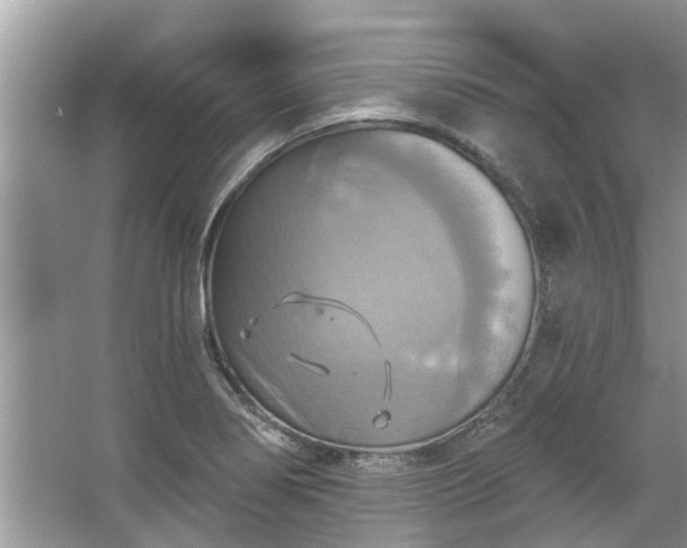 X0000067351274200604071416