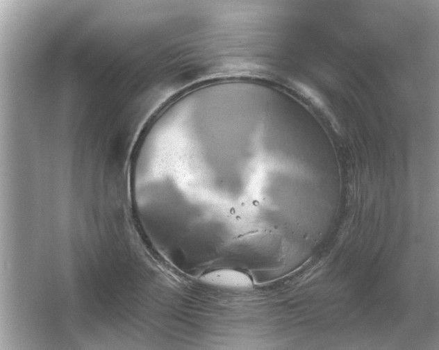 X0000067351275200604071416