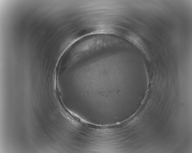 X0000067351276200604071416