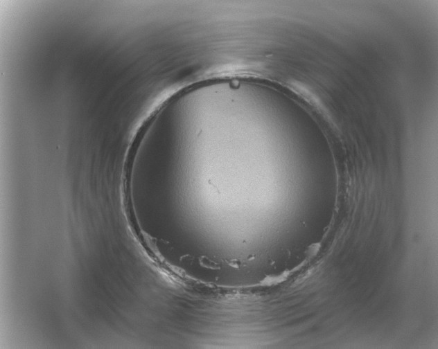 X0000067351277200604071416