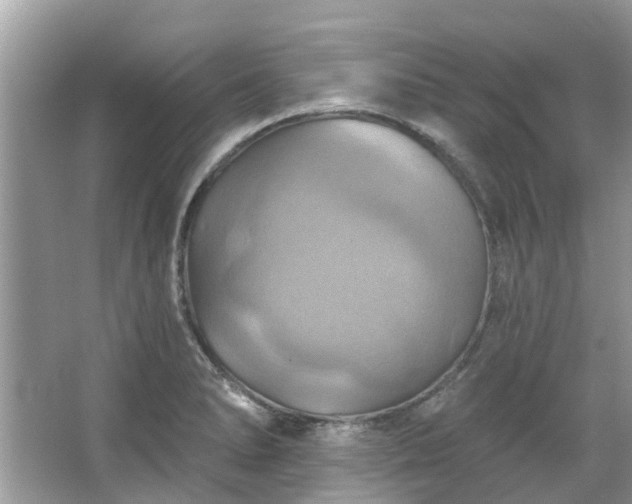 X0000067351278200604071416