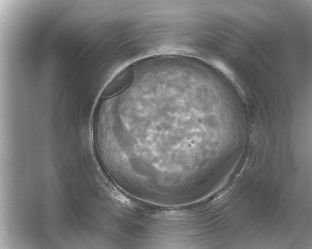 X0000067351280200604071416