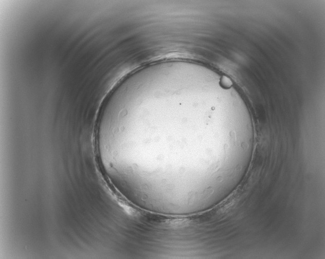 X0000067351282200604071416