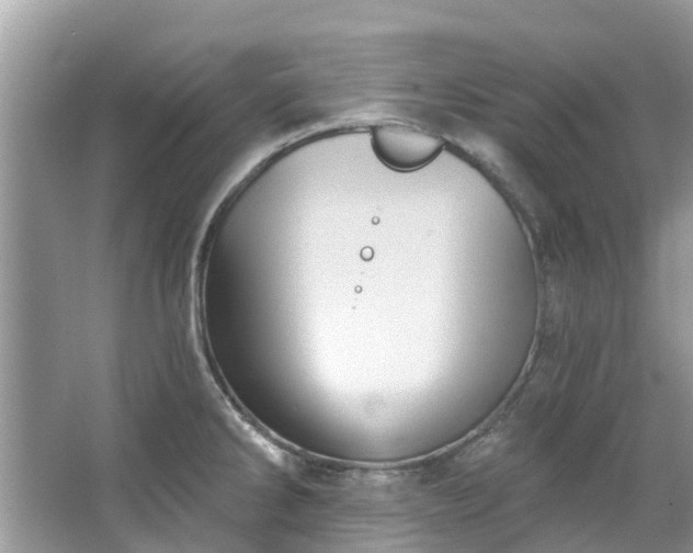 X0000067351286200604071416