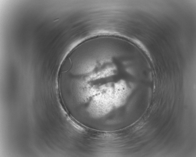 X0000067351287200604071416