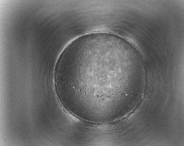 X0000067351288200604071416