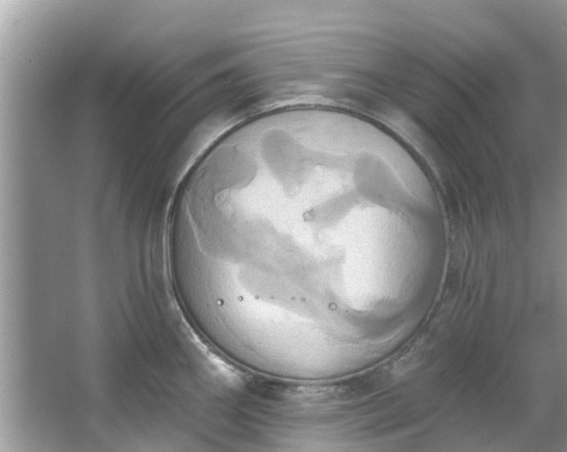 X0000067351290200604071416