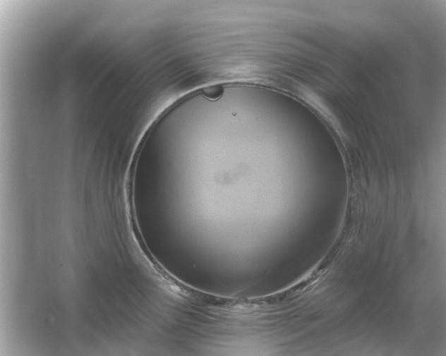 X0000067351291200604071416