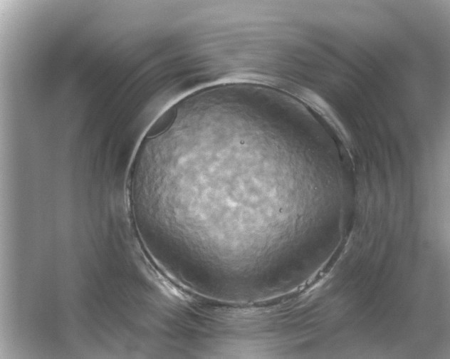 X0000067351292200604071416