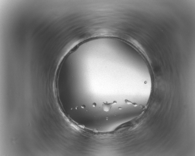 X0000067351293200604071416