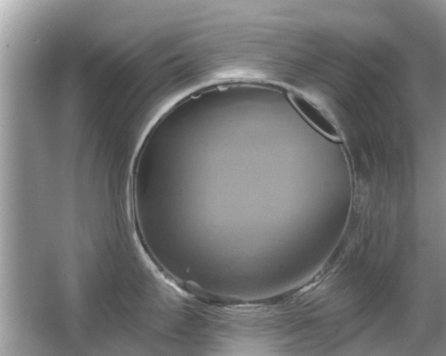 X0000067351295200604071416