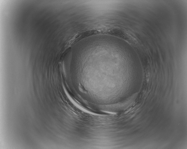 X0000067351298200604071415