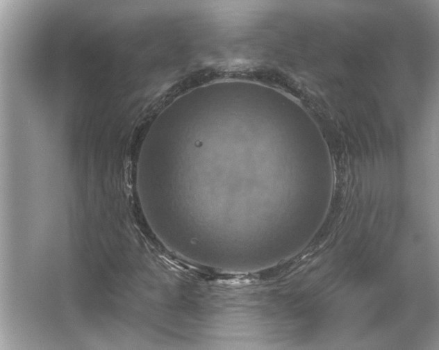 X0000067351301200604071415