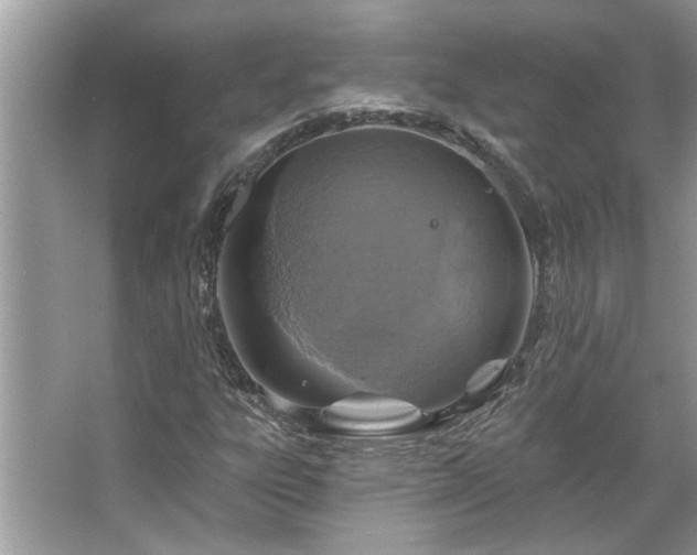 X0000067351303200604071415