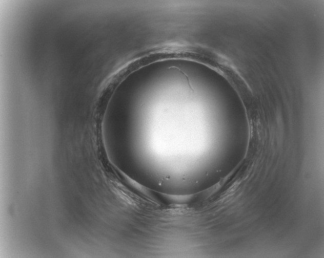 X0000067351304200604071415