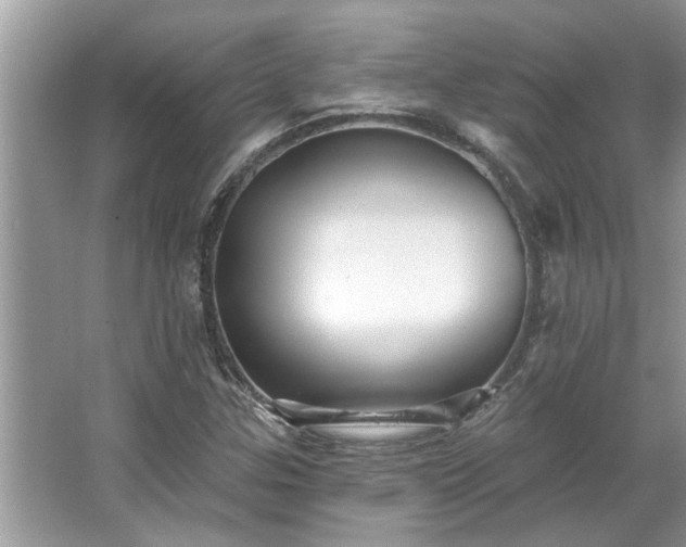 X0000067351307200604071415