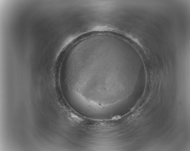 X0000067351311200604071415