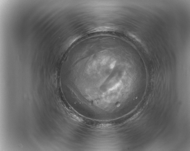 X0000067351313200604071415