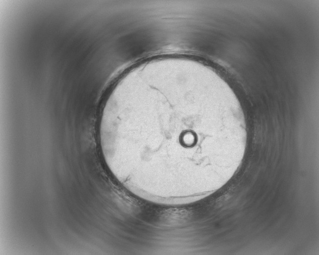 X0000067351314200604071415