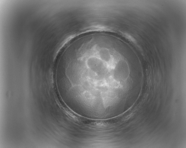 X0000067351318200604071415