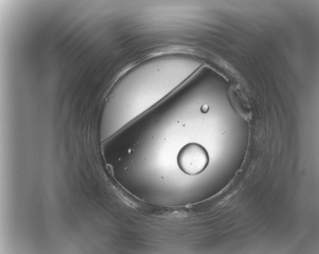 X0000067351321200604071415