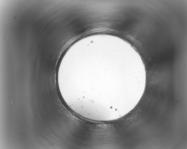 X0000067351322200604071415