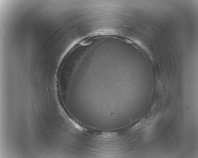 X0000067351325200604071415