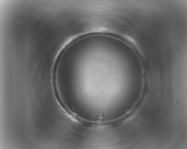 X0000067351326200604071415