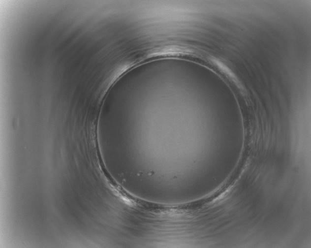 X0000067351329200604071415