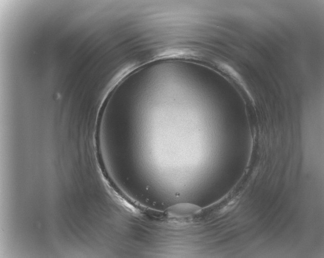 X0000067351330200604071415