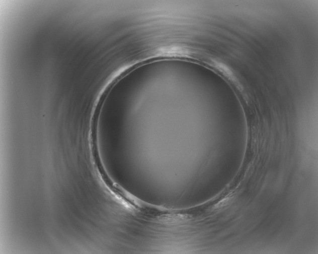 X0000067351331200604071415