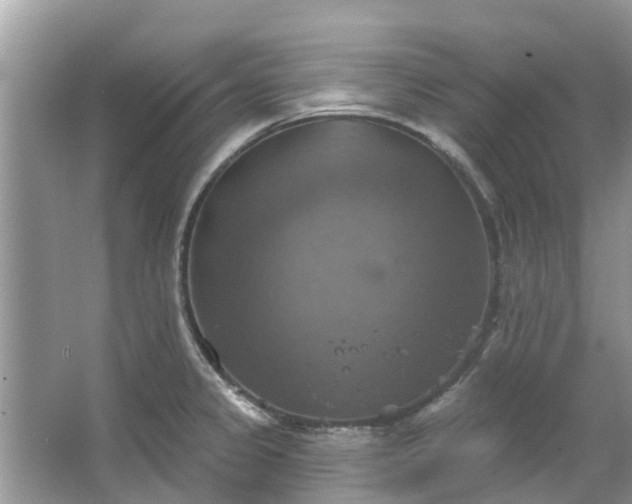 X0000067351333200604071415