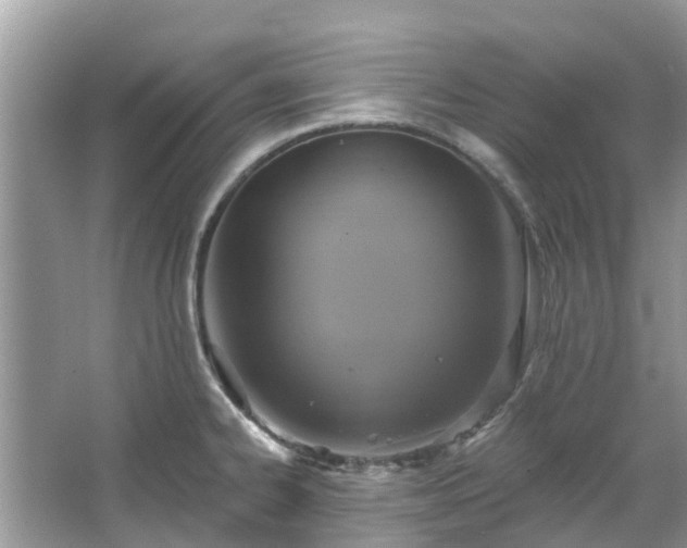 X0000067351334200604071415