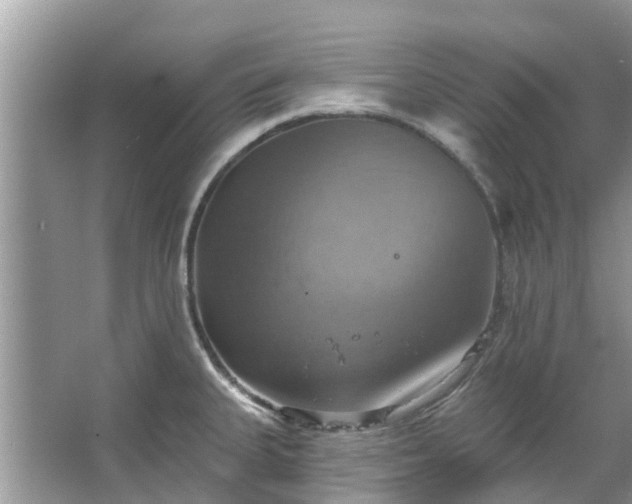 X0000067351335200604071415