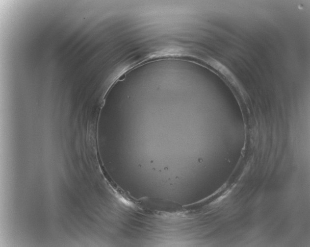 X0000067351337200604071415