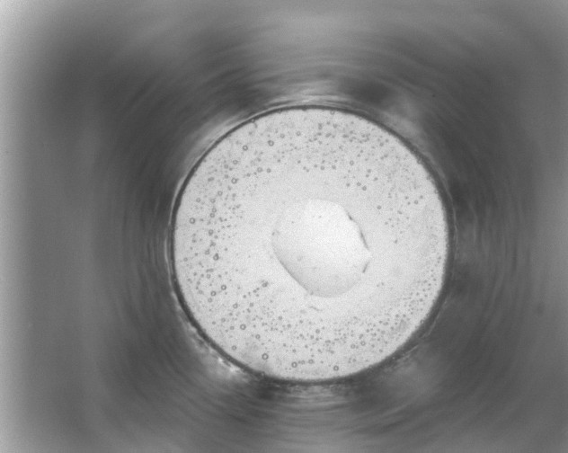 X0000067351338200604071415