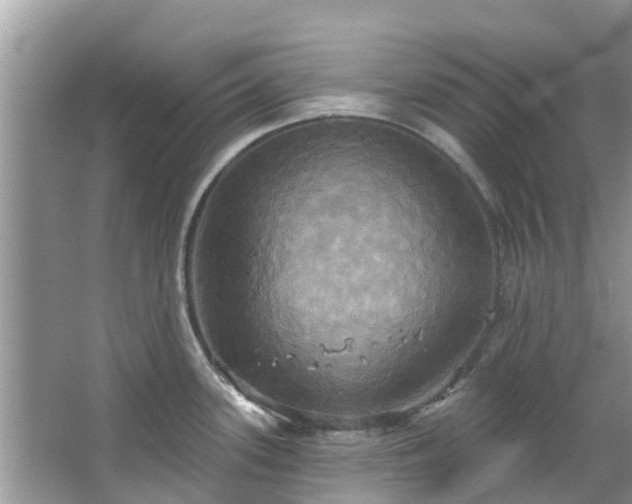 X0000067351339200604071415